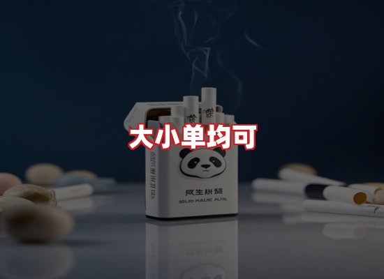 专业团队